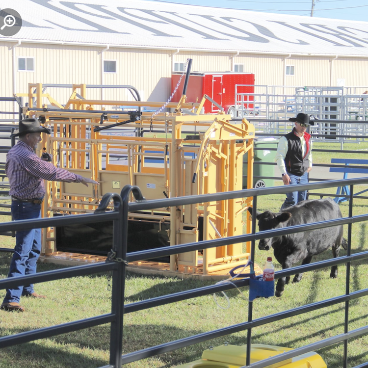 Visitors revel in return of Sunbelt Ag Expo